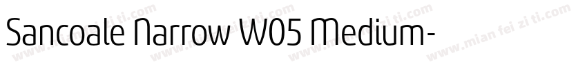 Sancoale Narrow W05 Medium字体转换